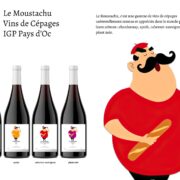 Marketing Gamme de Vins Le Moustachu
